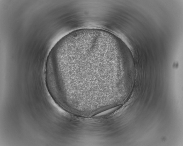 X0000090611387200708141342