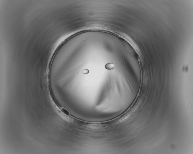 X0000090611388200708141342