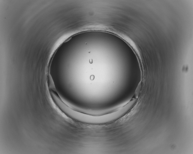 X0000090611389200708141342