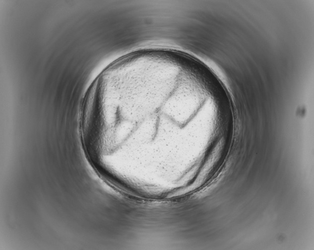 X0000090611390200708141342