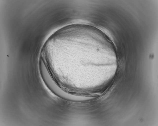 X0000090611391200708141342