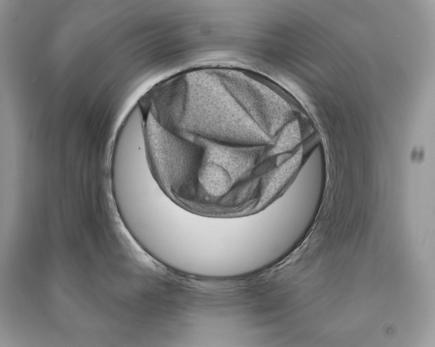 X0000090611392200708141342