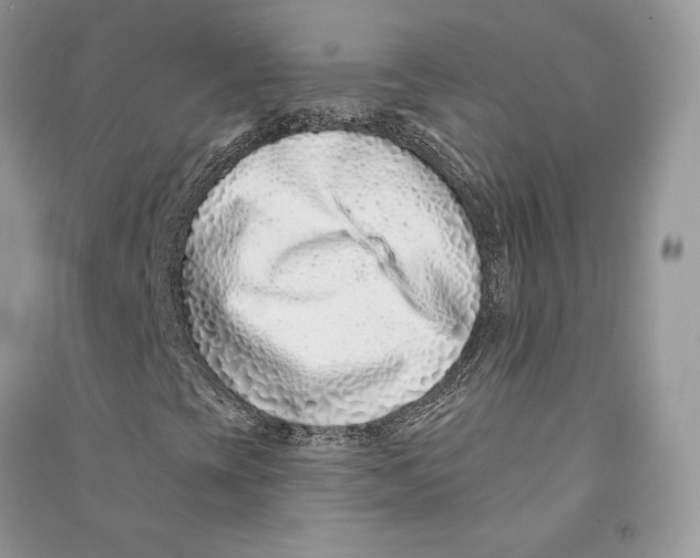 X0000090611393200708141341