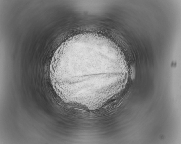 X0000090611395200708141341