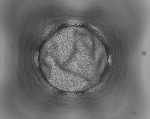 X0000090611396200708141342