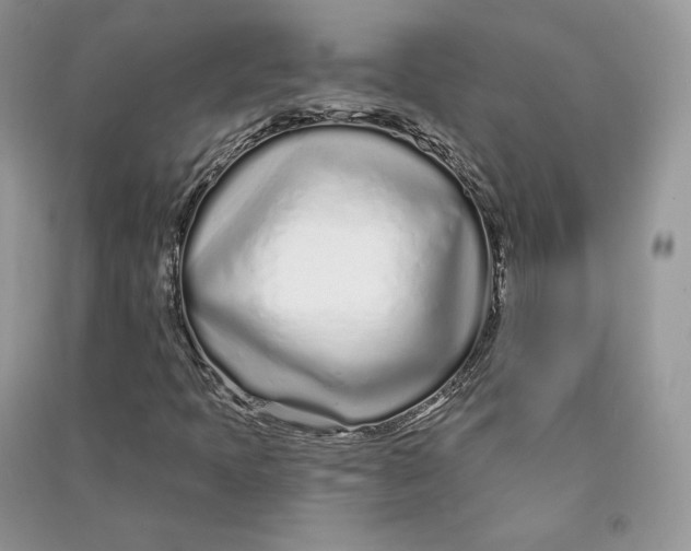 X0000090611397200708141342