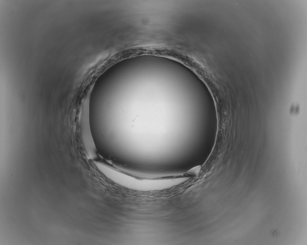 X0000090611398200708141342