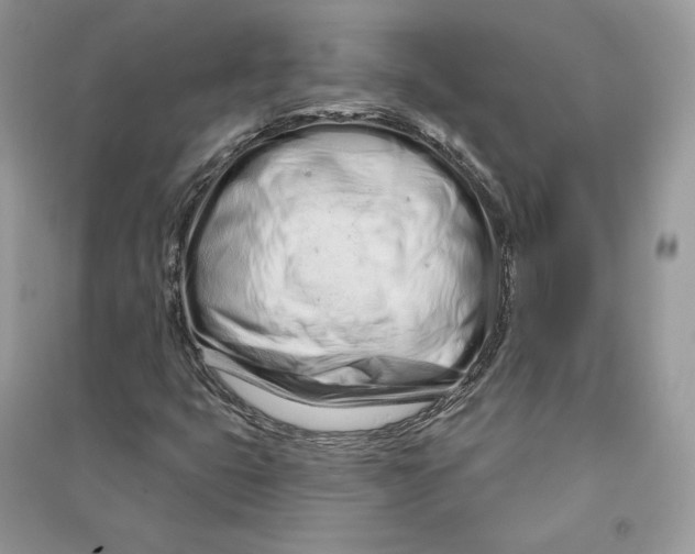 X0000090611399200708141342