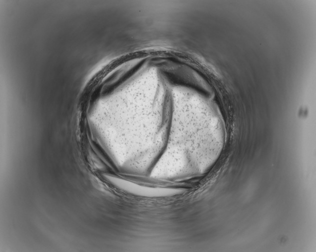 X0000090611400200708141342