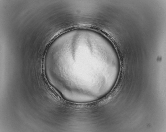 X0000090611401200708141342