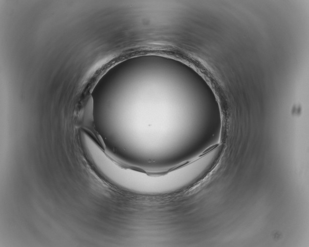 X0000090611402200708141342