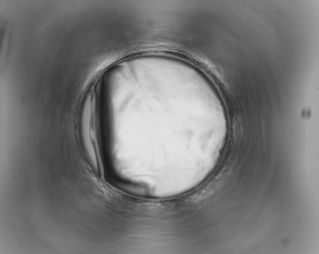 X0000090611405200708141342