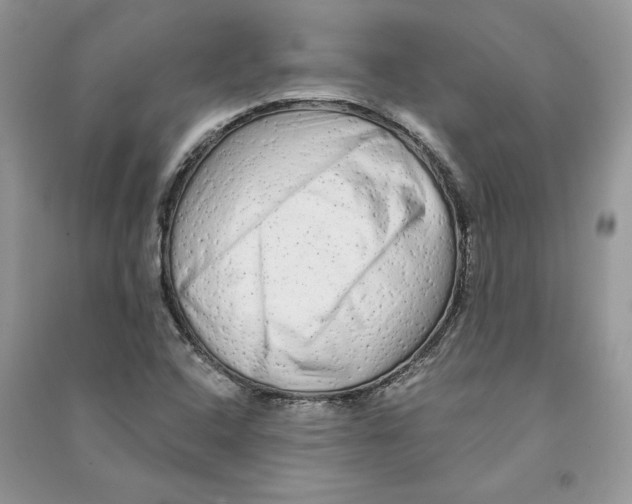 X0000090611408200708141342