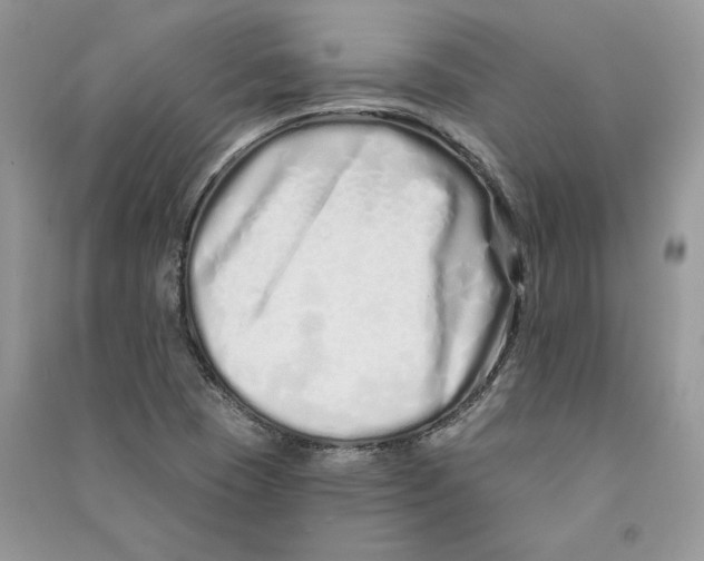 X0000090611409200708141342