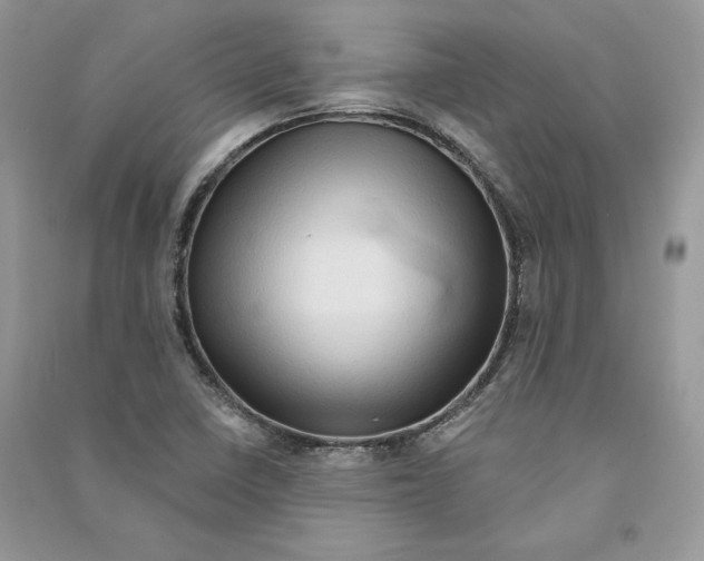 X0000090611410200708141342