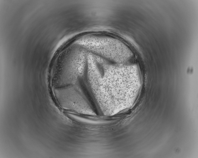 X0000090611412200708141342