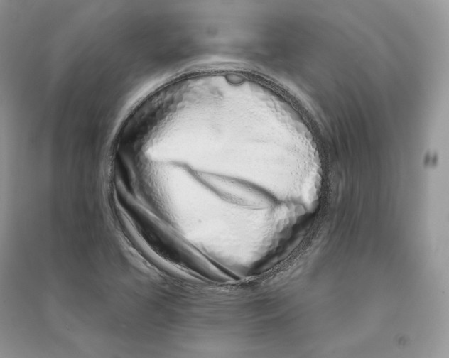 X0000090611413200708141342