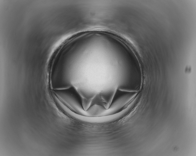 X0000090611414200708141342