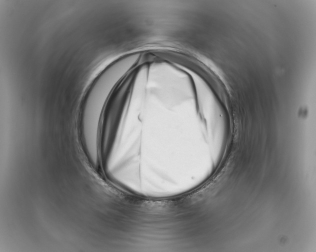 X0000090611415200708141342