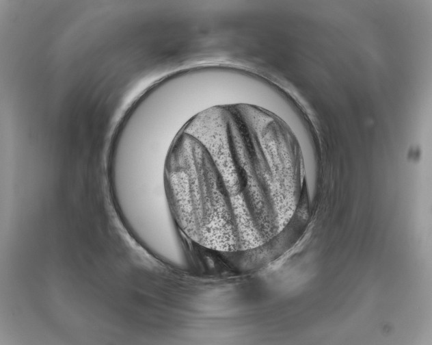 X0000090611416200708141342