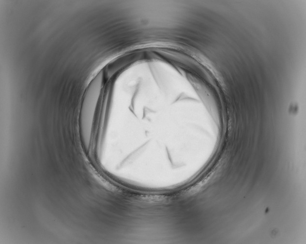 X0000090611417200708141342