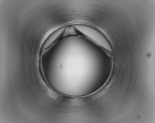 X0000090611418200708141342