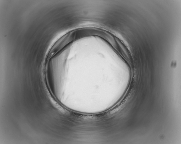 X0000090611421200708141342