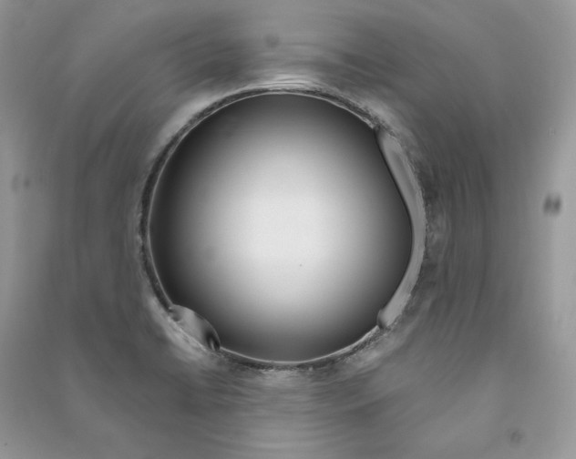 X0000090611422200708141342