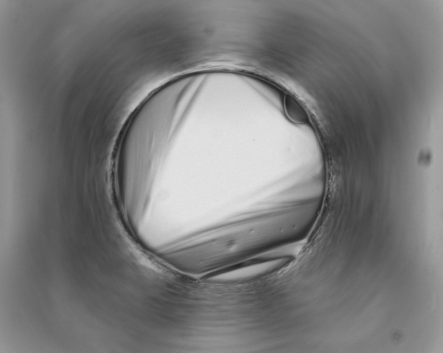 X0000090611423200708141342