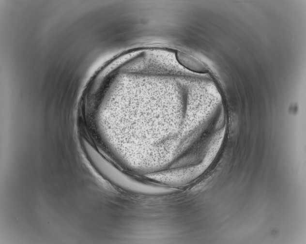 X0000090611424200708141342