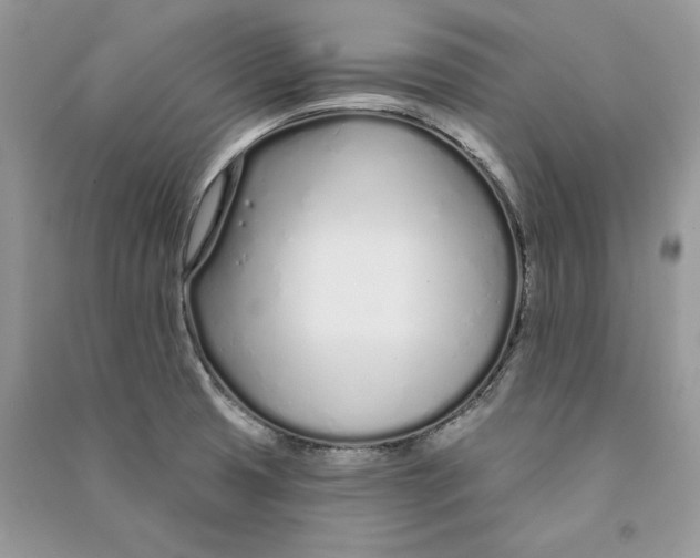 X0000090611425200708141342