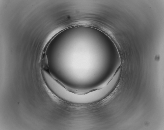 X0000090611426200708141342