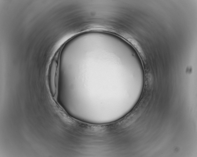 X0000090611427200708141342