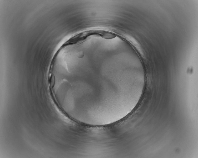 X0000090611428200708141342