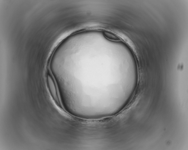 X0000090611429200708141342