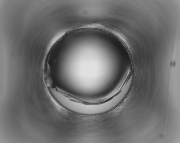 X0000090611430200708141342