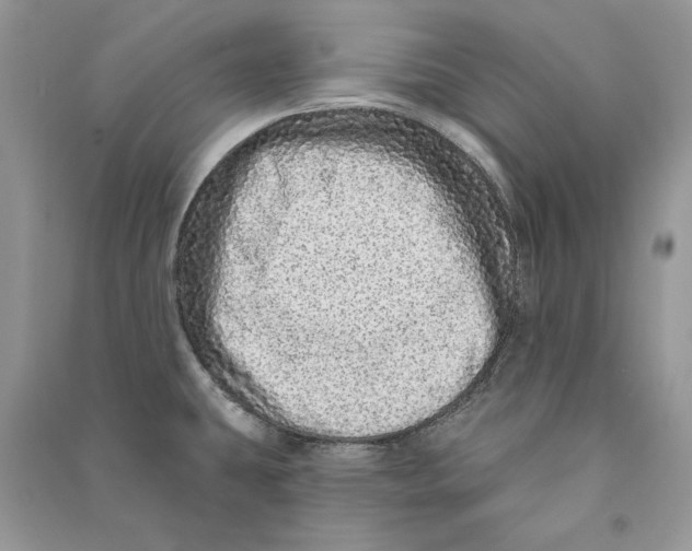 X0000090611431200708141342