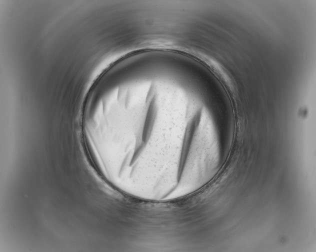 X0000090611432200708141342