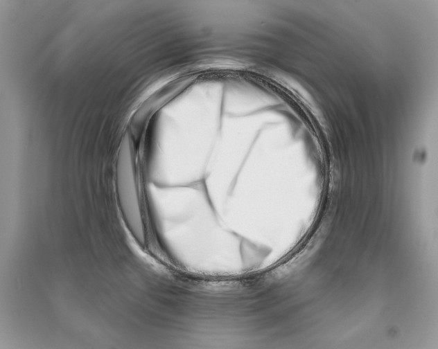 X0000090611433200708141342