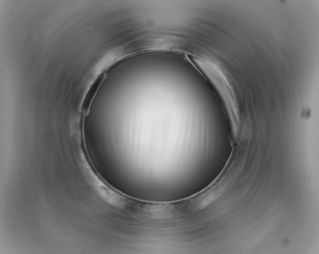 X0000090611434200708141342