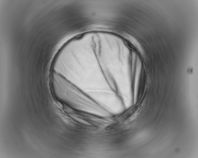 X0000090611435200708141342