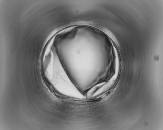 X0000090611436200708141342