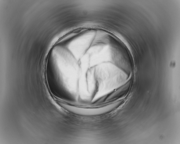 X0000090611437200708141342