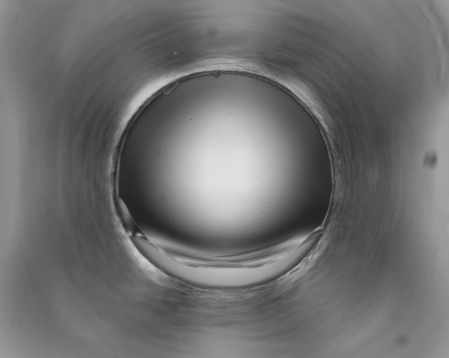 X0000090611438200708141342