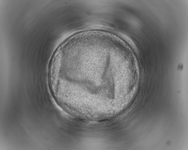 X0000090611439200708141342