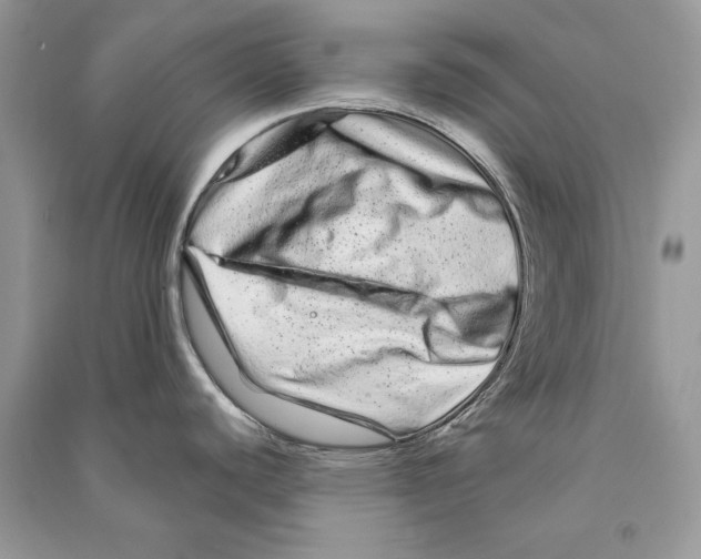 X0000090611440200708141342