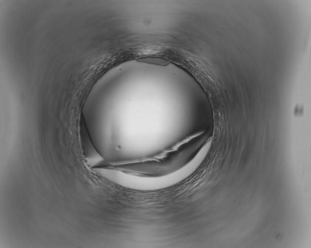 X0000090611441200708141341