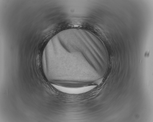 X0000090611442200708141341