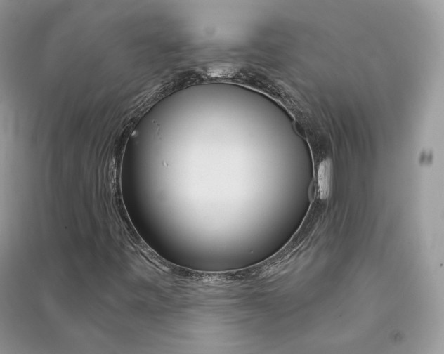 X0000090611443200708141341