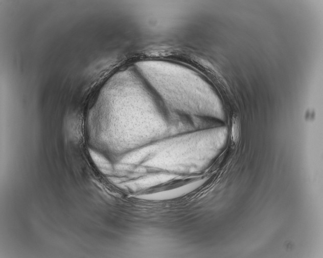 X0000090611444200708141341